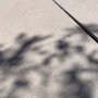 Photo of Heavy Duty Concrete and Pavers