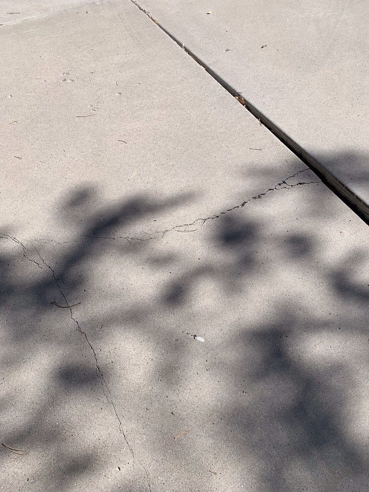 Heavy Duty Concrete and Pavers - tree service in Reno, NV