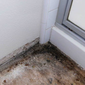 Able Restoration - Mold Damages - Damage Restoration Near Me - Riverside, California