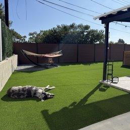 The turf makes it a brand new yard and we couldn't be happier! The turf makes it a brand new yard and we couldn't be happier!