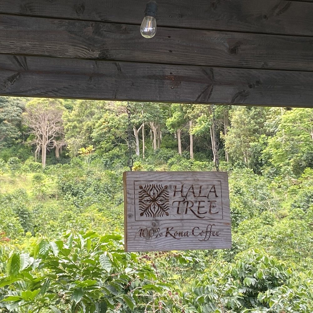 Hala Tree Coffee - Attraction Farms Near Me - Captain Cook, Hawaii Hala Tree Coffee - Attraction Farms Near Me - Captain Cook, Hawaii