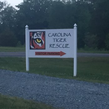Carolina Tiger Rescue - Sign on the road - Animal Shelters Near Me - Pittsboro, North Carolina Carolina Tiger Rescue - Sign on the road - Animal Shelters Near Me - Pittsboro, North Carolina