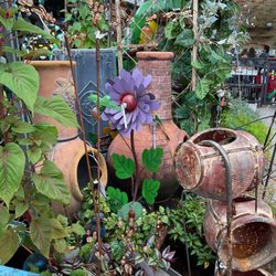 Dutch Flowers - Set up outside the store