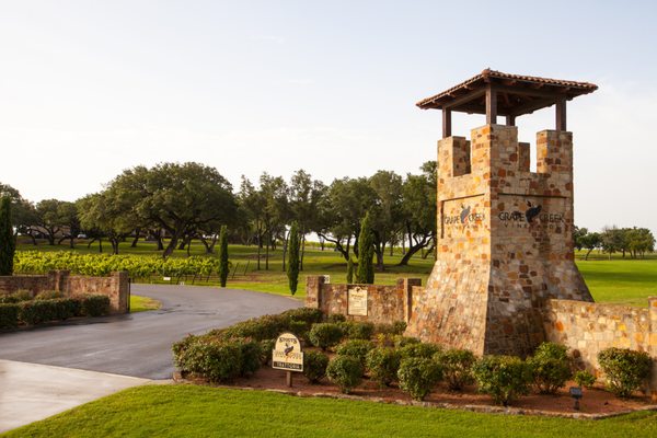 Grape Creek Vineyards by null