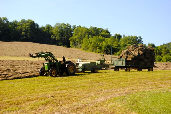 Cloudland Farm by null