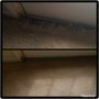 Photo of Terryclean Carpet & Upholstery Care