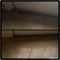Terryclean Carpet & Upholstery Care - Duane did an amazing job at fixing the carpet!