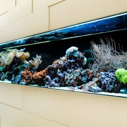 Aquarium West