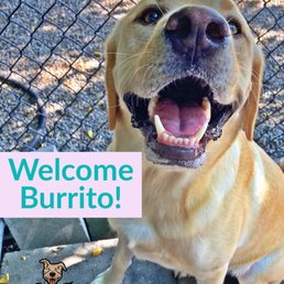 Their sweet welcome post during his first visit! Their sweet welcome post during his first visit!