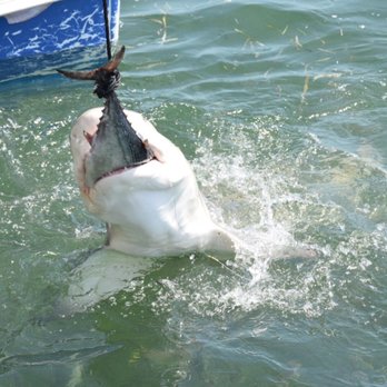 Key West Extreme Adventures - Boating Near Me - Key West, Florida