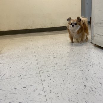 Sharon S Lawler, MD - Waiting for Dr Lawler to come in and I had a little visitor - Internal Medicine Near Me - Honolulu, Hawaii Sharon S Lawler, MD - Waiting for Dr Lawler to come in and I had a little visitor - Internal Medicine Near Me - Honolulu, Hawaii