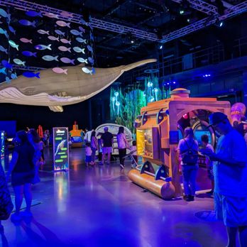 Discovery Cube Orange County - Children's Museums Near Me - Santa Ana, California Discovery Cube Orange County - Children's Museums Near Me - Santa Ana, California