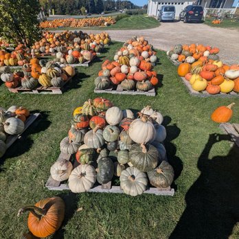 Farmer White's - An endless supply of pumpkins! - Farmers Market Near Me - Williamsburg, Michigan Farmer White's - An endless supply of pumpkins! - Farmers Market Near Me - Williamsburg, Michigan