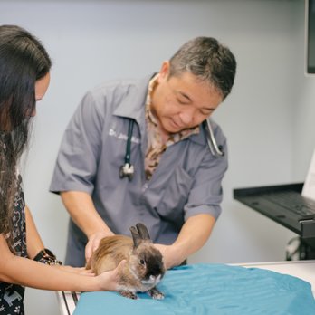 Manoa Valley Veterinary Clinic - Dr. Kaya - Veterinarians Near Me - Urban Honolulu, Hawaii Manoa Valley Veterinary Clinic - Dr. Kaya - Veterinarians Near Me - Urban Honolulu, Hawaii