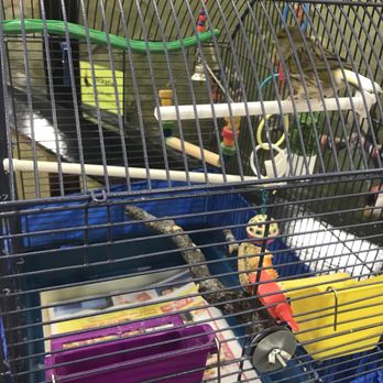 MrPets - Pet Stores Near Me - Chilliwack, British Columbia