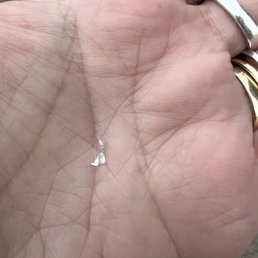 a hand holding a tiny white object