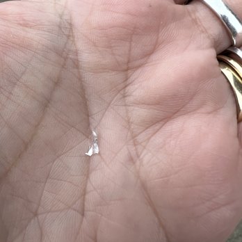Tea Garden Cafe - a hand holding a tiny white object - Chinese Near Me - Eureka, California