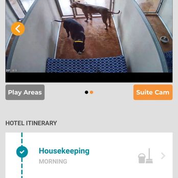 Wag Hotels - Lincoln Park - Pet Groomers Near Me - Chicago, Illinois Wag Hotels - Lincoln Park - Pet Groomers Near Me - Chicago, Illinois
