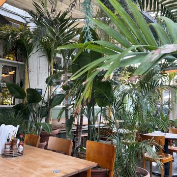 Gran Torino - Cafes Near Me - New York, New York