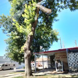 City of Colusa