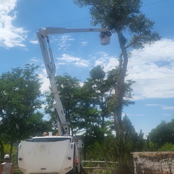 Capshaw Tree Service - Tree Services Near Me - Casper, Wyoming Capshaw Tree Service - Tree Services Near Me - Casper, Wyoming