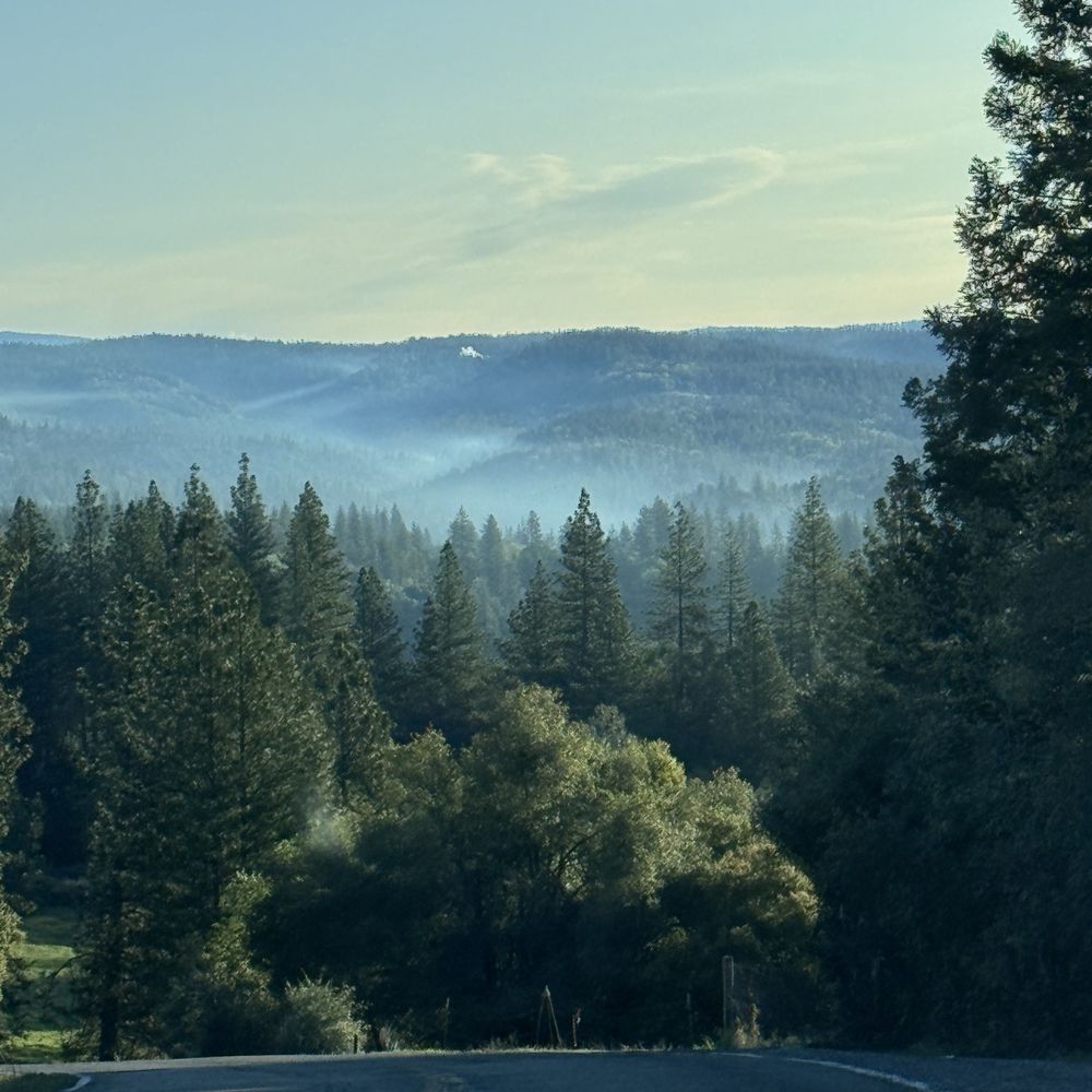 Baked In Amador - The view on the way down the hill to get to BAKED in. Amador - Bakeries Near Me - Volcano, California
