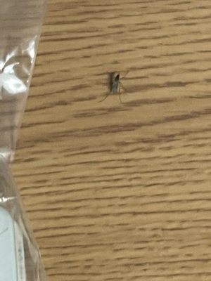 Jackson South Medical Center by null