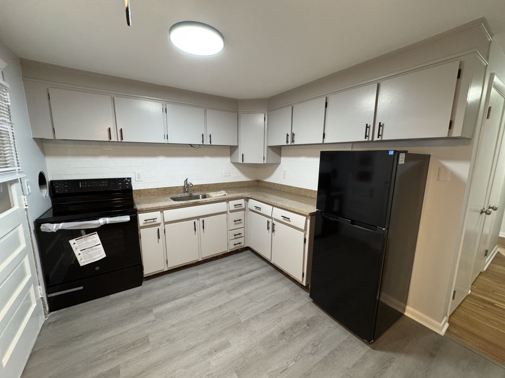 Slide of White Rhino