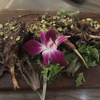 Salt - Lamb lollipops - Mediterranean Near Me - Pensacola Beach, Florida