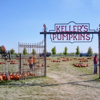 Keller’s Farmstand - the entrance to keller's pumpkins - Fruits & Veggies Near Me - Naperville, Illinois