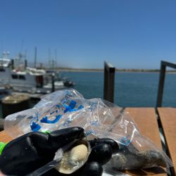 Grassy Bar Oyster Company - Shucking fresh oysters