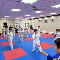 Ultimate Champion's TaeKwonDo Bellmore