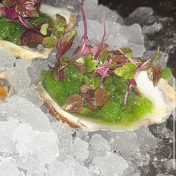 XOXO Sushi Bar - This is the river rock oysters that taste like green slushy from a corner store - Sushi Bars Near Me - Chestnut Hill, Massachusetts