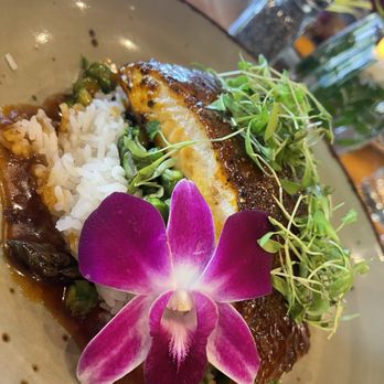 Bin 189 - Seared Miso Salmón - New American Near Me - Lake Arrowhead, California Bin 189 - Seared Miso Salmón - New American Near Me - Lake Arrowhead, California