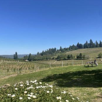Lava Cap Winery - Wineries Near Me - Placerville, California Lava Cap Winery - Wineries Near Me - Placerville, California