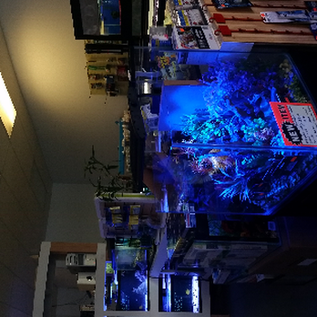 Aqua Imagination - Store view - Pet Stores Near Me - Buford, Georgia Aqua Imagination - Store view - Pet Stores Near Me - Buford, Georgia