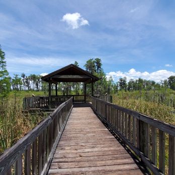 Tibet-Butler Preserve - Parks Near Me - Orlando, Florida Tibet-Butler Preserve - Parks Near Me - Orlando, Florida