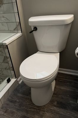 Delfiacco Sewer and Plumbing Logo