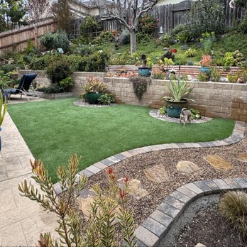 Premier Landscape - Pet Friendly Turf and a beautiful paver pathway created by Premier Landscape - Landscaping Near Me Premier Landscape - Pet Friendly Turf and a beautiful paver pathway created by Premier Landscape - Landscaping Near Me