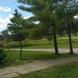 Briar Fox Golf Club