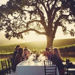 HammerSky Vineyards & Inn