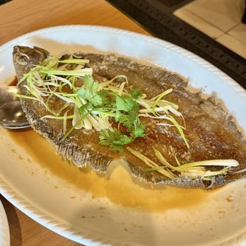 Qin Dynasty - Pan-fried flounder - Dim Sum Near Me - Parsippany, New Jersey Qin Dynasty - Pan-fried flounder - Dim Sum Near Me - Parsippany, New Jersey