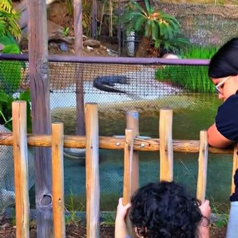 LOS ANGELES ZOO AND BOTANICAL GARDEN - Updated February 2025 - 7648 ...