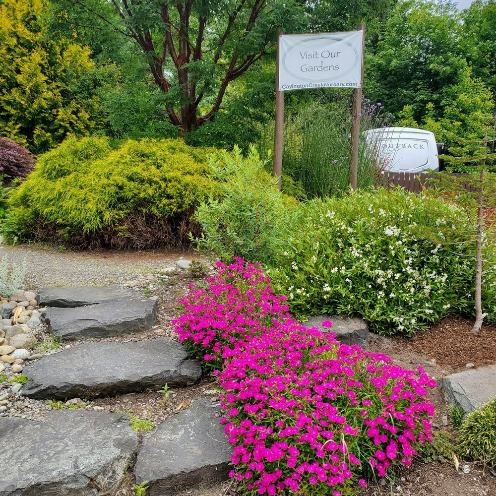 Covington Creek Nursery - Nurseries & Gardening Near Me - Auburn, Washington Covington Creek Nursery - Nurseries & Gardening Near Me - Auburn, Washington