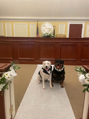 Caraluzzi's Danbury Market by null