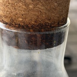 Water container super dirty too Water container super dirty too