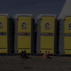 Working Dog Septic Service