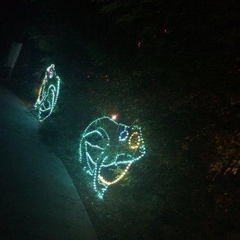 Zoolights - Ribbit - Zoos Near Me - Phoenix, Arizona