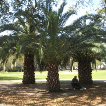 Washington Square - Dog Parks Near Me - New Orleans, Louisiana