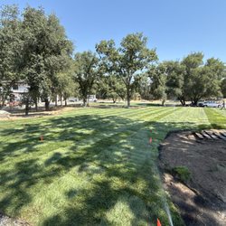 Redi- Green Sod Farms